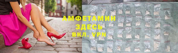 сатива Инсар