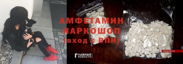 сатива Инсар