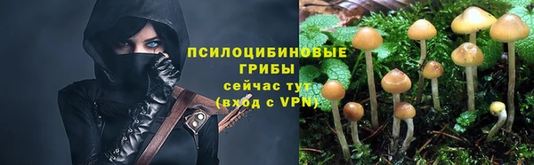 кокс Иннополис