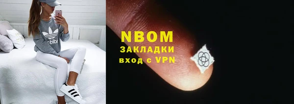 сатива Инсар