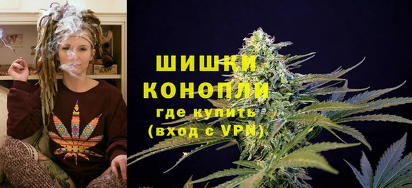 СК Инта