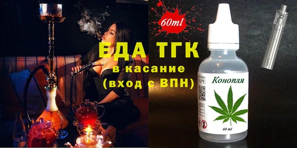 СК Инта