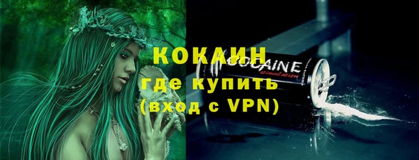 сатива Инсар